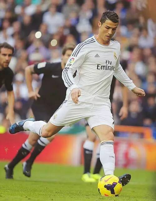 她凭借着坚 她凭借着坚