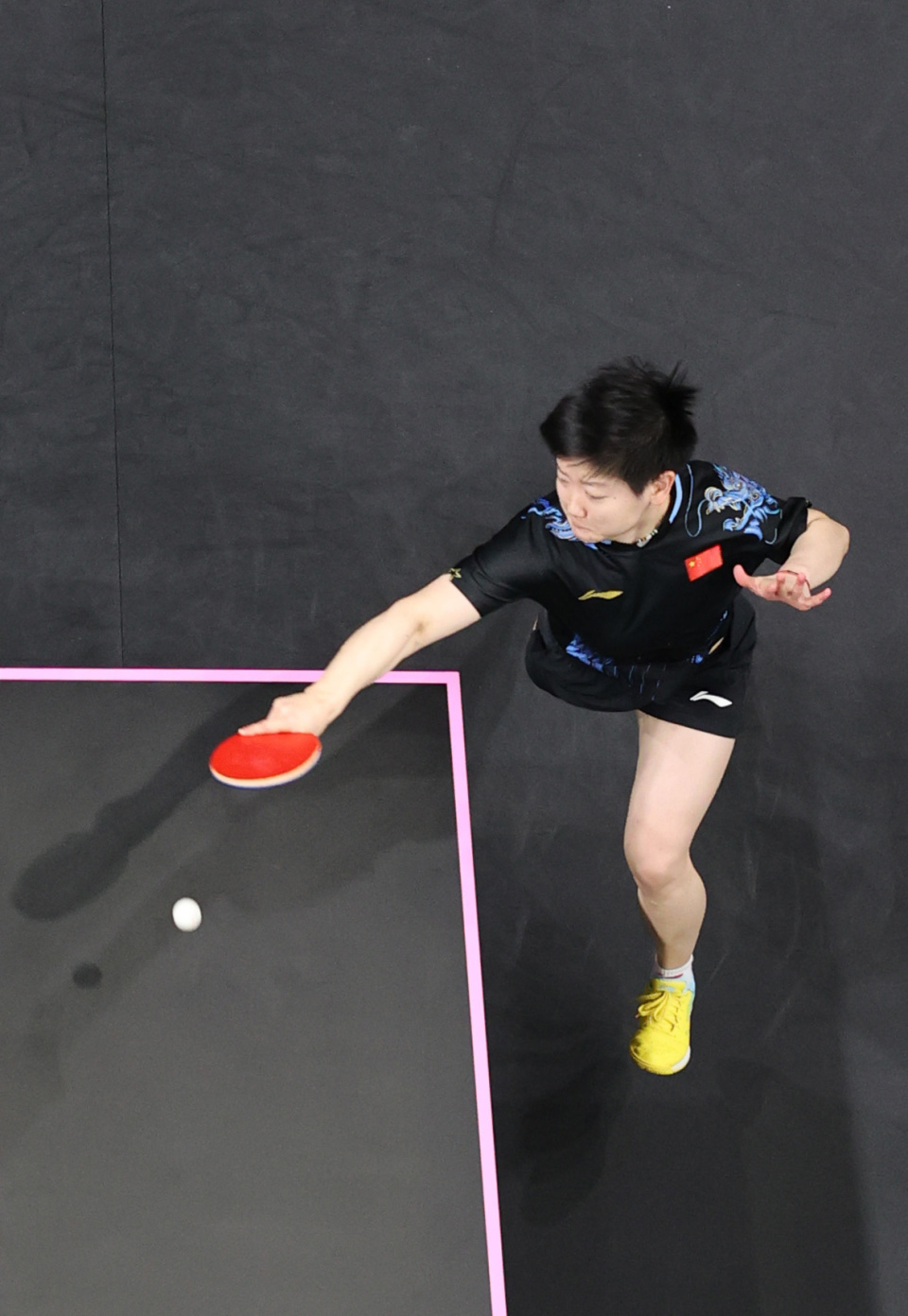 定红印茶礼 定红印茶礼