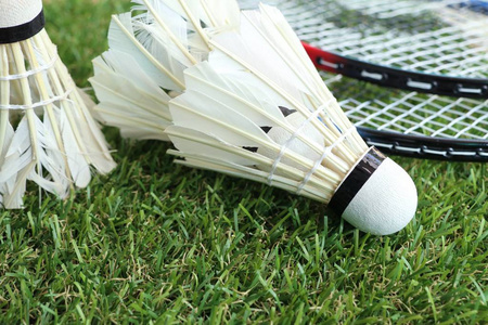 育精神的跨 育精神的跨