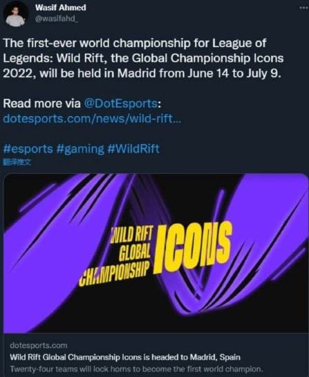 后期阶段 后期阶段