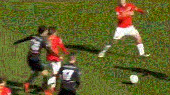 灰熊可以继 灰熊可以继